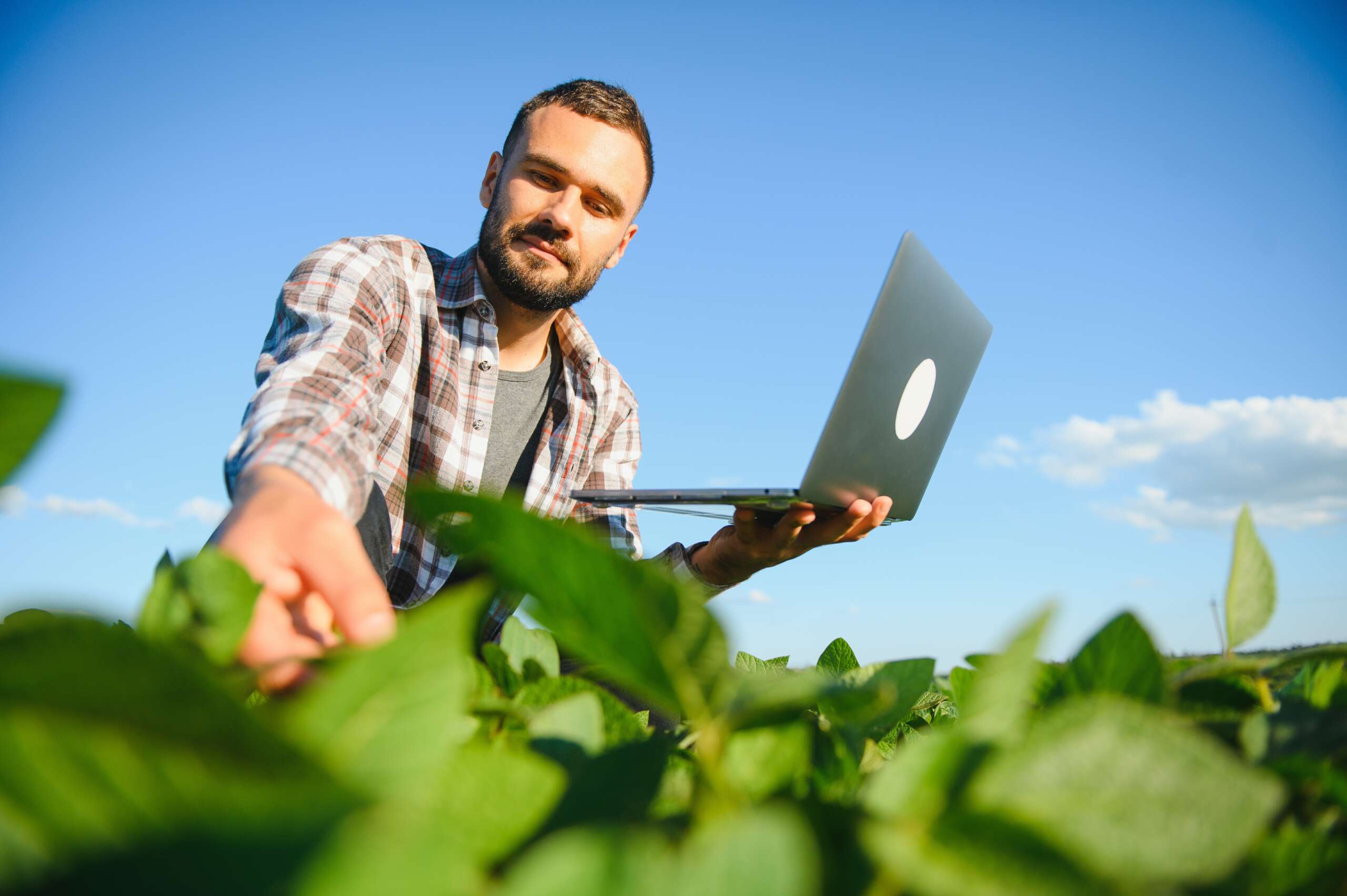 Implementación facturación electronica ceritficada en cooperativas agricolas de ciudad real